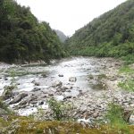 Mohikinui River